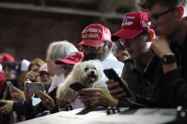 Dog hot sale maga hat